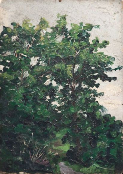 DUMAS Gaëtan (1879-1950) 
Paysage aux arbres...