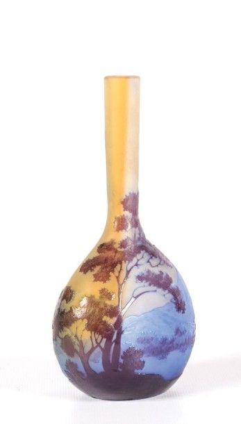 null GALLÉ Émile (1846 - 1904)

Vase soliflore en verre multicouche en violet,

bleu...