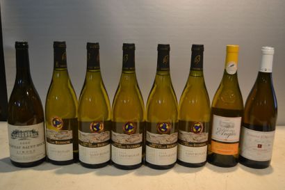 null Lot de 8 blles de vins blancs comprenant :		

5 Blles	SAINT ROMAIN " Sous la...