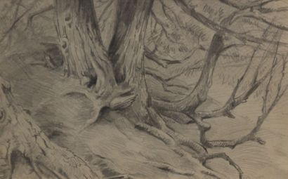 null THOMAS Jean-François (1894-1939)

Troncs d'arbre

Trois dessins au crayon sur...