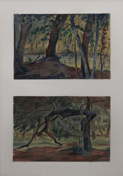 null THOMAS Jean-François (1894-1939)

Paysages lacustes - Les chemins en forêt

Quatre...