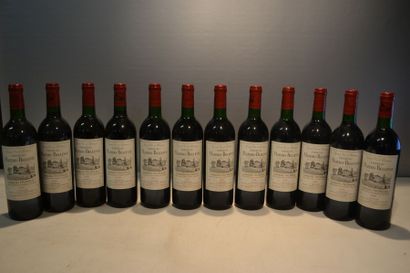 null 12 Blles	CH. MAZERIS-BELLEVUE	Canon Fronsac	1989

	Et. excellentes. N : 2 mi...