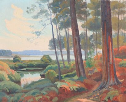 null LONG Philippe (1872-1957)

Vue de bord de lac depuis le sous-bois

Huile sur...