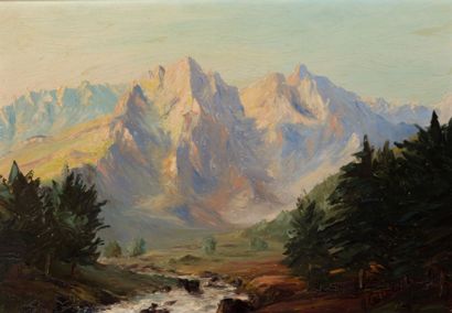 null CALIOC (XXème siècle)

Paysage de montagne 

Huile sur isorel

Signée en bas...