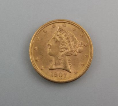null Pièce de 5 dollars américain en or de 1907

Poids : 8,3 g