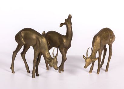 null Lot de trois cervidés en bronze 

Haut. de 18 à 23,5 cm