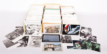 null [PHOTOGRAPHIES - FAUNES ET FLORE] 

Ensemble de cartes imprimées modernes d'après...