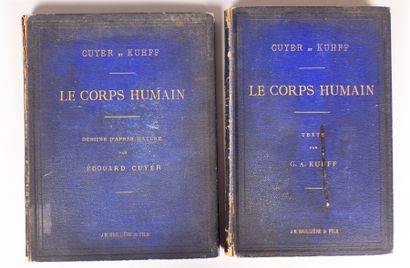 null KUHFF G.-A - Le corps humain structure et fonctions - Paris Librairie J.-B Baillière...