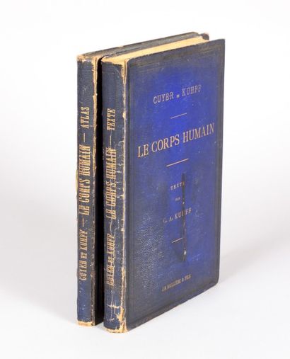 null KUHFF G.-A - Le corps humain structure et fonctions - Paris Librairie J.-B Baillière...