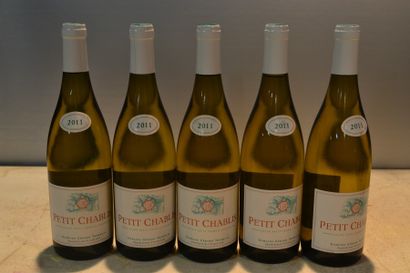 null 5 Blles	PETIT CHABLIS mise Dom. Gérard Tremblay		2011

	Présentation, niveaux...