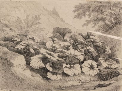 null BLERY Eugène (1805-1887)

Ruisseau à Senlis - Le ruisseau de Roche plate - Le...
