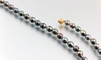 null Collier de perles de tahiti fantaisie, fermoir en métal doré.

Long. : 40,5...