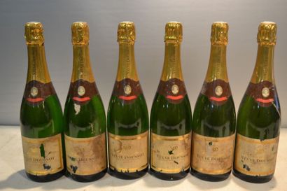 null 6 Blles	Champagne VEUVE DOUSSOT Brut		NM

	Et. fanées, tachées et déchirées...