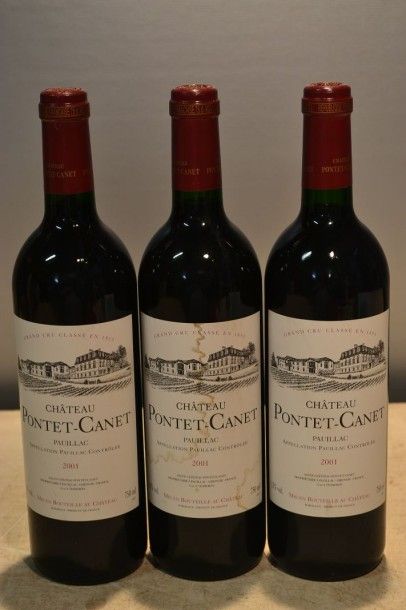 null 3 Blles	CH. PONTET CANET	Pauillac GCC	2001

	Et.: 2 impeccables, 1 un peu tachée....