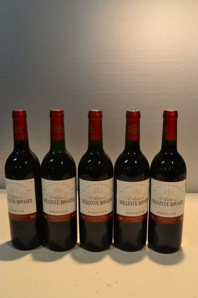 null 5 Blles	CH. BELLEVUE ROUGIER	Bordeaux	2003

	Présentation et niveaux impecc...