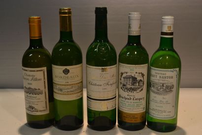 null Lot de 5 blles de vins blancs secs comprenant :		

1 Blle	CH. BARON FILLON	Bordeaux	1993

1...