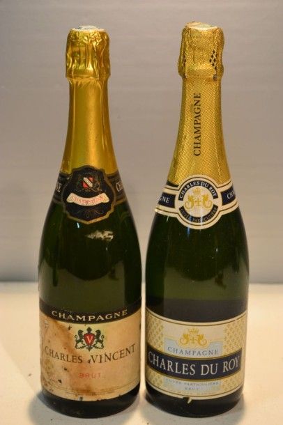 null Lot de 2 blles comprenant :		

1 Blle	Champagne Brut Charles du ROY		NM

1 Blle	Champagne...