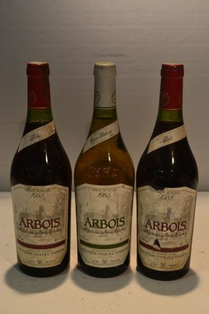 null Lot de 3 blles mise Fruitière Vinicole d'Arbois comprenant :		

2 Blles	ARBOIS...