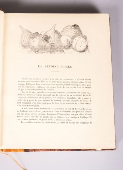 null FABRE J.-H. - Le monde merveilleux des insectes - Paris Delagrave 1930 - reliure...
