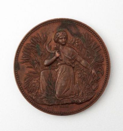 null Médaille Boulangerie de la banlieue Décret impérial du 1er novembre 1854

Cuivre

Signée...