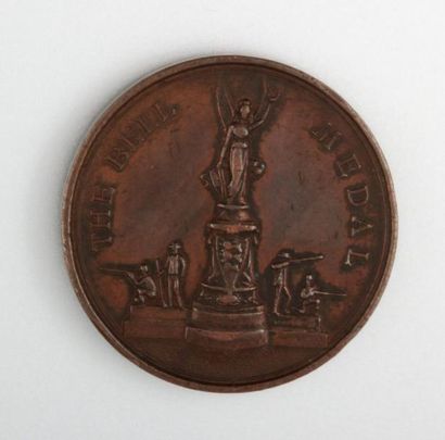 null Médaille en bronze The Bell Medal, presented by the Society of miniature Rifle...