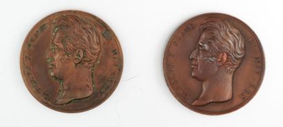Deux médailles en bronze, Carolus X Franc...