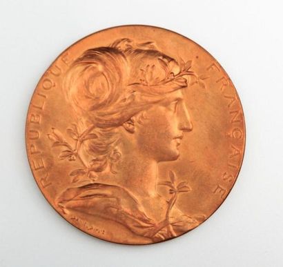 null Médaille en bronze de la république française, Exposition universelle Paris...