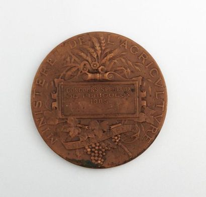 null Médaille en bronze Ministère de l'agriculture, concours spéciaux de Périgueux...