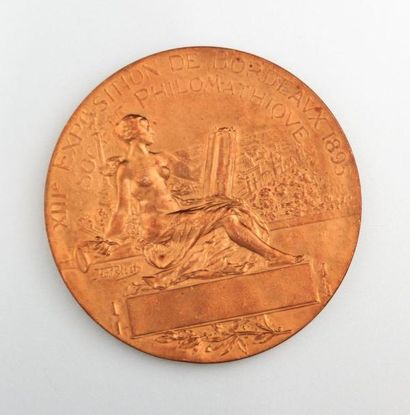 null Médaille en bronze de la 13ème exposition de Bordeaux 1895, Société Philomathique

Graveur...