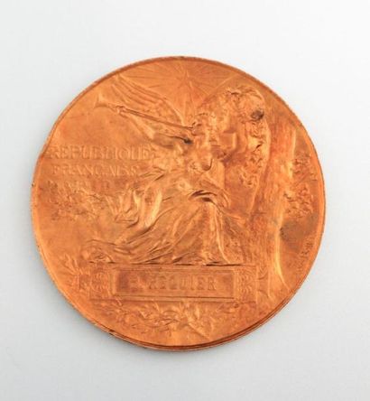 null Médaille en bronze Exposition universelle 1889 marquée Requier

Graveur : Louis...
