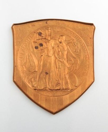 null Médaille en bronze Universal exposition St Louis United States of America 1904,...