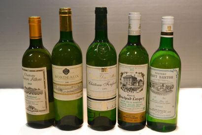 null Lot de 5 blles de vins blancs secs comprenant :		

1 Blle	CH. BARON FILLON	Bordeaux	1993

1...