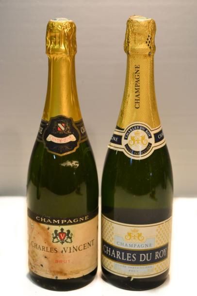 null Lot de 2 blles comprenant :		

1 Blle	Champagne Brut Charles du ROY		NM

1 Blle	Champagne...