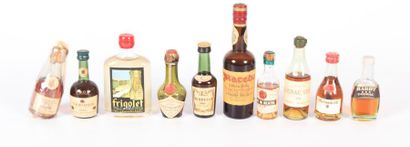 null Lot de dix mignonettes dont cognac de marques Logis de Villars/Courvoisier/Hennessy/Louis...