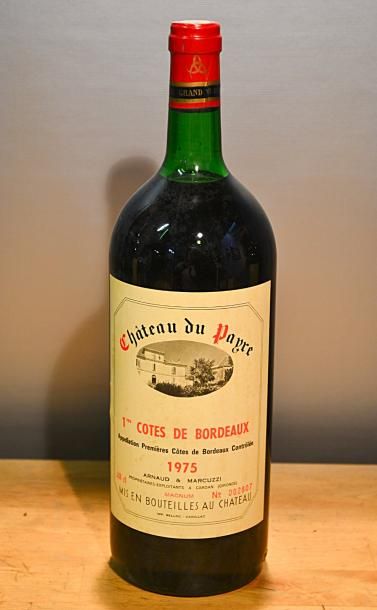 null 1 Mag	CH. DU PAYRE	1ères Côtes de Bordeaux	1975

	Et. à peine tachée. N : tout...