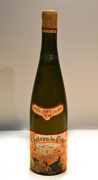 null 1 Blle	CH. DU PAYRE	Bordeaux Blanc Extra Dry	1964

	Et. tachée et un peu déchirée...