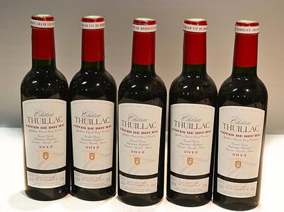 null 5 Demies	CH. THUILLAC	Côtes de Bourg	2012

	Présentation, niveaux et couleur...