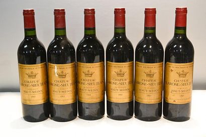 null 6 Blles	CH. LAROSE SIEUJEAN	Haut Médoc CB	1983

	Et. un peu fanées et un peu...