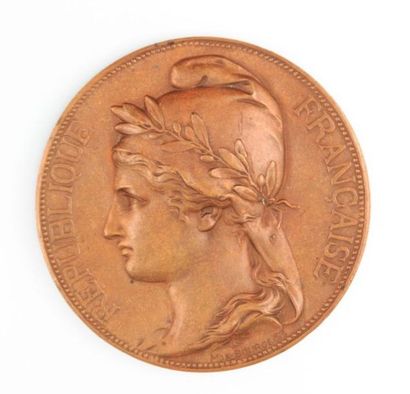 null Médaille en bronze, 28 décembre 1885, l'Assemblée Nationale élit Jules Grevy...