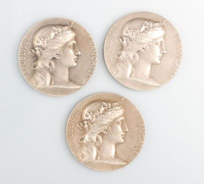 null Trois médailles en argent, Chambre de commerce de Beauvais et de l'Oise

Tranches...