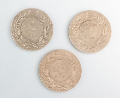 null Trois médailles en argent, Chambre de commerce de Beauvais et de l'Oise

Tranches...