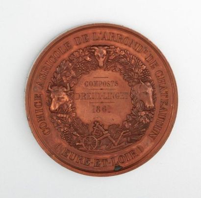 null Médaille en bronze, Olivier de Serres, comice agricole de l'arrondisement de...