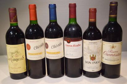 null Lot de 6 blles de vin d' Espagne comprenant :		

1 Blle	Navarra "Las Campanas"...
