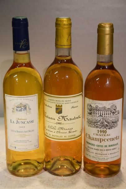 null Lot de 3 blles comprenant :		

1 Blle	CH. LA JUNCASSE	Côtes de Bx St Macaire	2009

1...