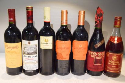 null Lot de 7 blles de vin d'Espagne comprenant :		

1 Blle	RIOJA mise BODEGAS CAMPILLO...