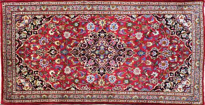 null IRAN - MECHAD

Tapis en laine à décor d'un médaillon sur un fond rouge parsemé...