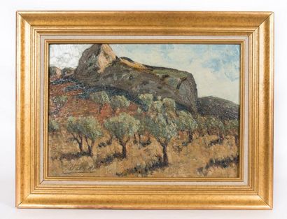 null VARET Pierre (1870-1939)

Vue de Provence

Huile sur panneau 

Signée en bas...