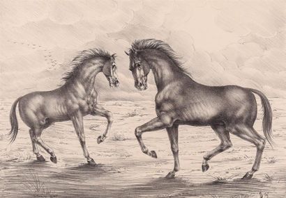 null DAUTRY Marc (né en 1930), d'après
Les deux chevaux
Lithographie 
Signée, titrée...