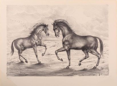 null DAUTRY Marc (né en 1930), d'après
Les deux chevaux
Lithographie 
Signée, titrée...