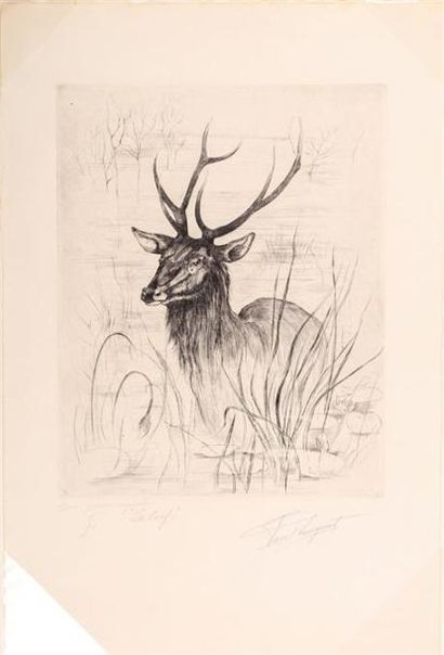 null LEUQUET Paul (né en 1932) (dessinateur et graveur), d'après
Le cerf 
Burin 
Signé...